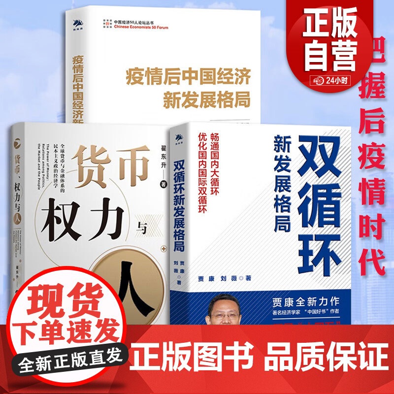 翟东升作品3册货币权力与人 疫情后中国经济新发展格局中国经济书籍全球货币与金融体系的民本主义政治经济学 正版书籍ZY