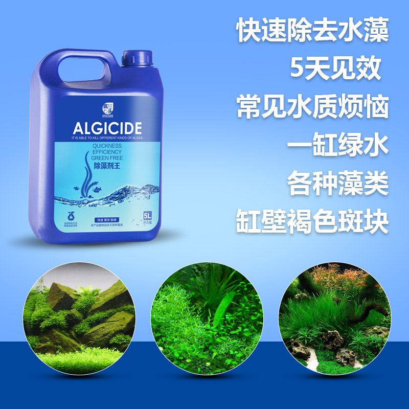 鱼池除苔剂除藻剂去藻除青苔绿水鱼塘除苔素水族箱除藻药水除青苔高清大图