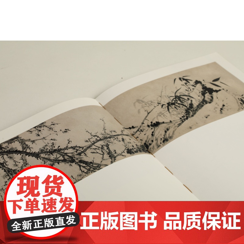 扬州八怪绘画名品 中国画 文化艺术 上海书画出版社高清大图