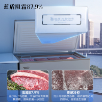 澳柯玛零下40度低温冷柜家用电脑控温减霜少霜冰柜冷冻冷藏卧式顶开小冰箱