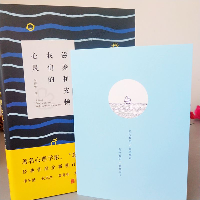 [正版] 滋养和安顿我们的心灵 朱建军著 意象对话创始人 情感/人际关系 心理治疗法 深度关系何以为父自渡社会高清大图