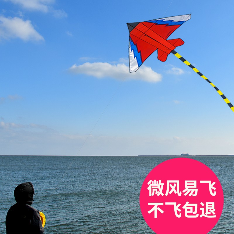 潍坊风筝 飞机风筝儿童卡通微风易飞成人初学者三角风筝创意 三维工匠 战斗机-蓝+200米黑色线轮高清大图