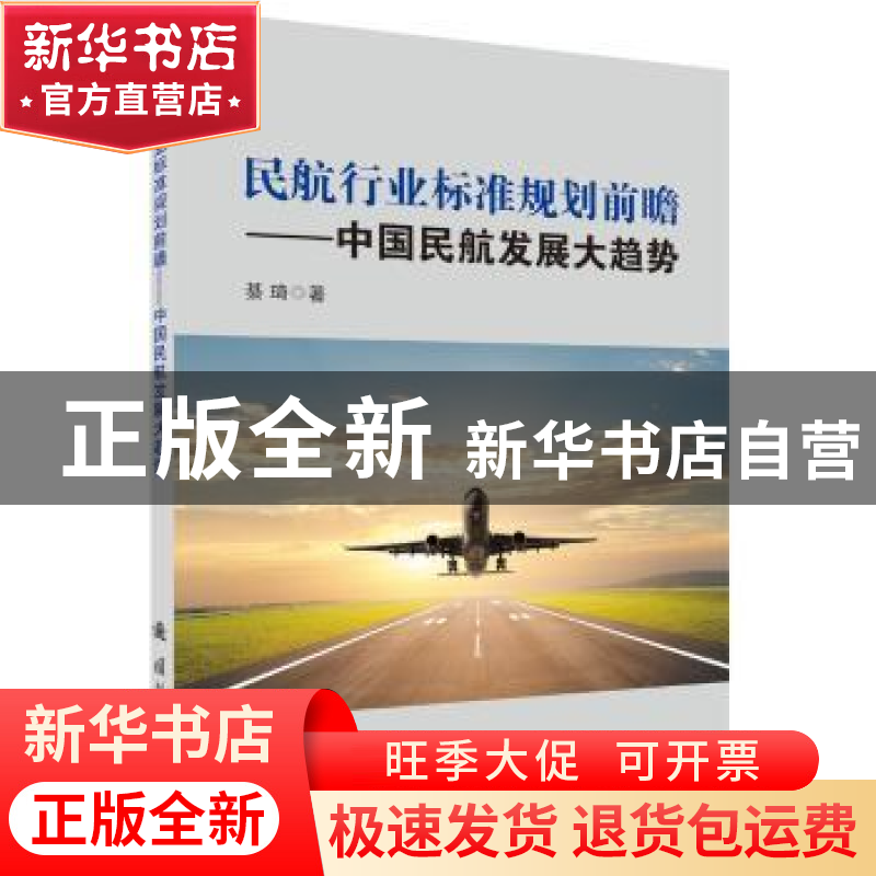 正版 民航行业标准规划前瞻:中国民航发展大趋势 綦琦著 国防工业高清大图
