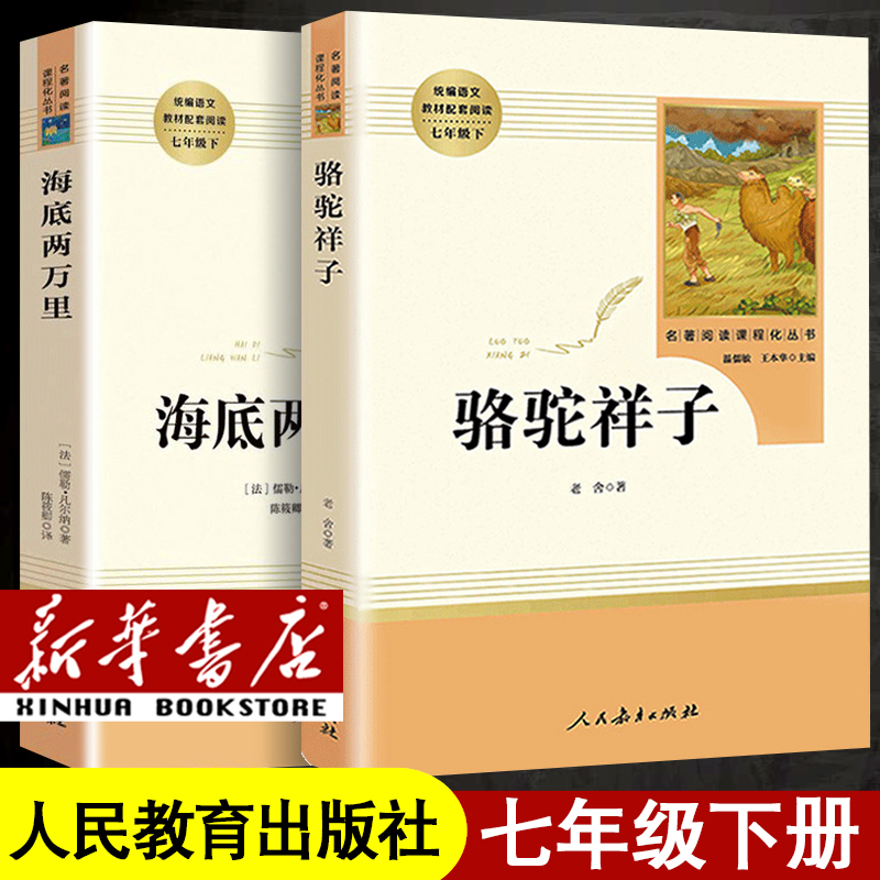 [国一下册]套装共2本 [正版]人教版初中国一下册八年级下册九年级下册初中课外阅读书籍骆驼祥子海底两万里经典常谈钢铁是怎高清大图