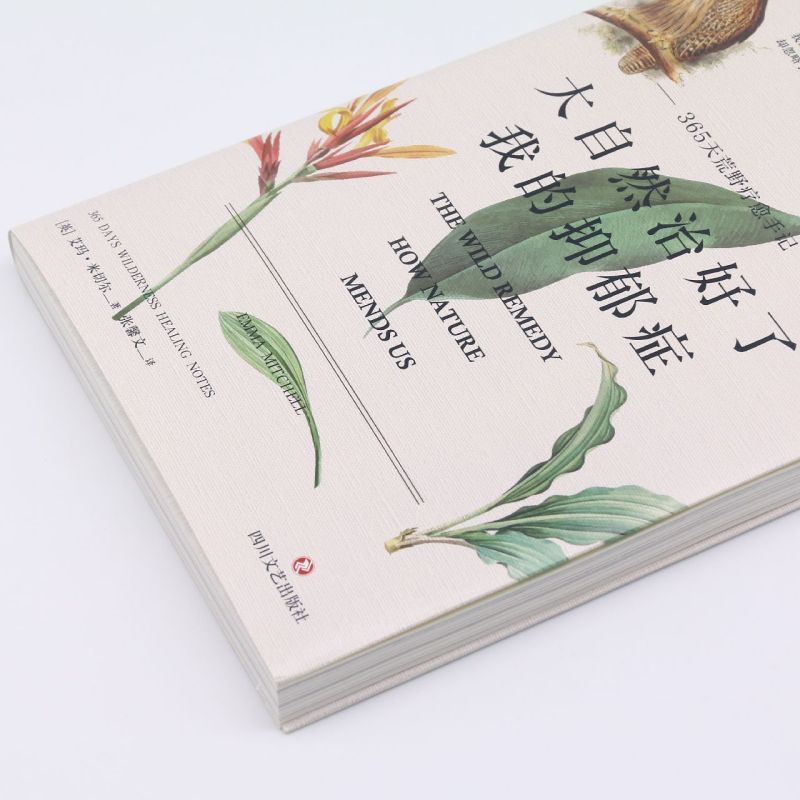 [正版]大自然治好了我的抑郁症(365天荒野疗愈手记) 艾玛米切尔著 一条找回宁静的自然疗愈之路心灵疗愈版瓦尔登湖虹影