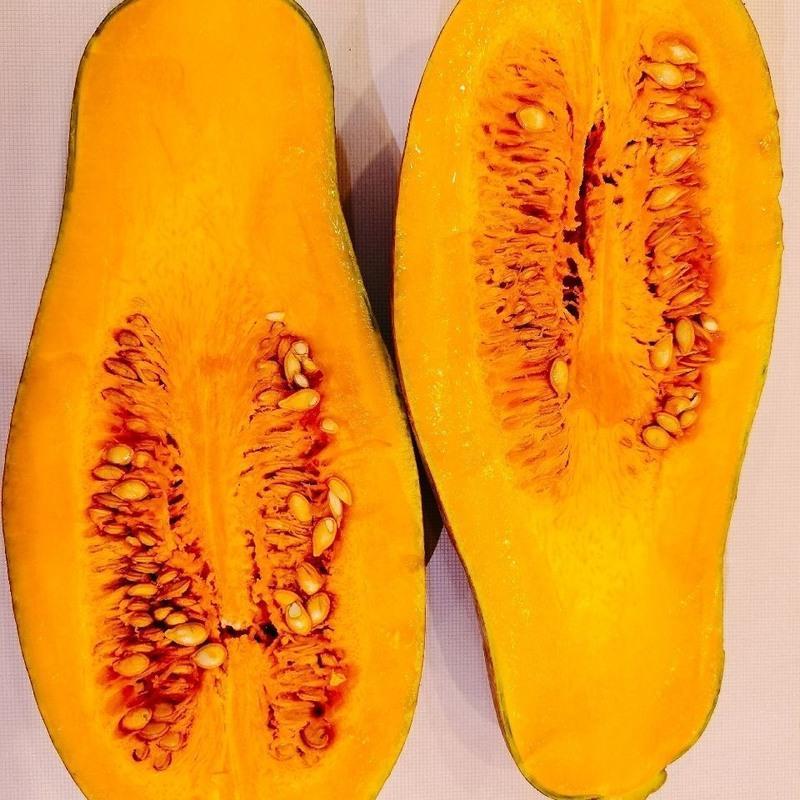 赛卡伊 老南瓜批发当季新鲜农家板栗味超甜粉糯黄南瓜辅食牛腿长南瓜