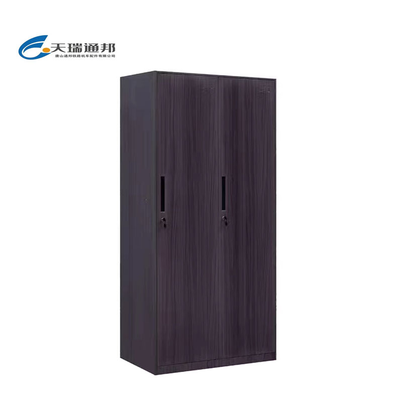 天瑞通邦 钢制套色更衣柜/文件柜 组 二门黑木纹900*500*1850mm/组