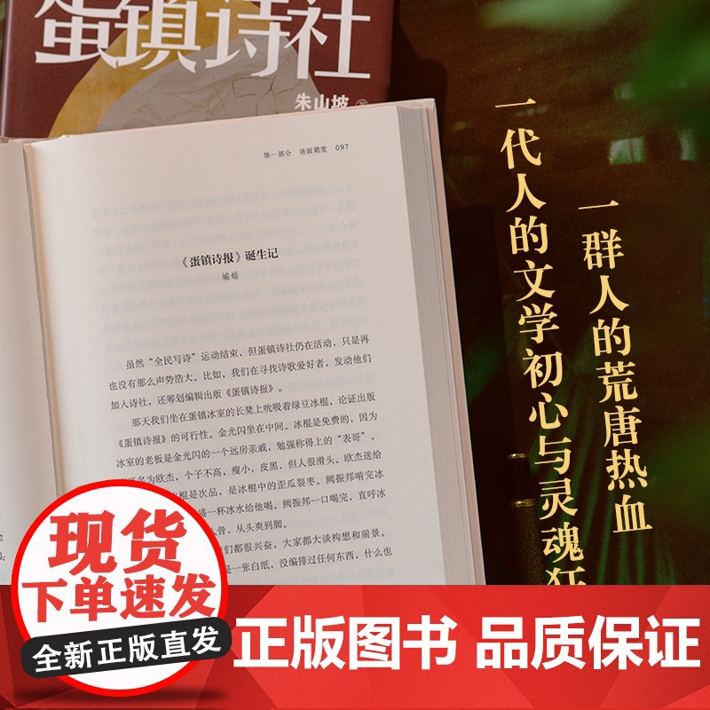 蛋镇诗社 70后代表性作家朱山坡长篇新作 蛋镇三部曲终章 人民艺术家王蒙亲题书名 花城出版社正版书籍高清大图