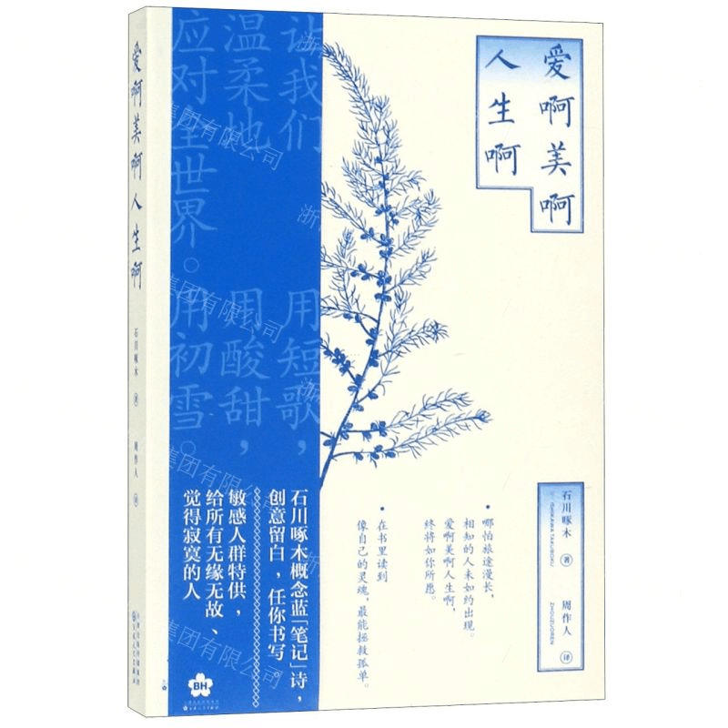 [M]爱啊美啊人生啊-9787530677322图片