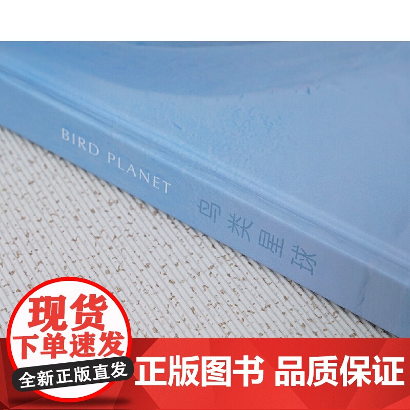 [正版书籍]鸟类星球:摄影之旅自然摄影大师蒂姆·拉曼 近30年重磅作品完整收录 每张画面都是我们更爱这个世界的理由高清大图