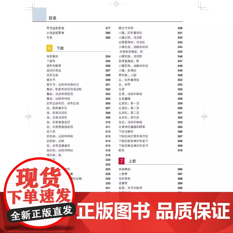 格氏解剖学图谱(第3版) 北京大学医学出版社 (美)里查德·德瑞克 等著 近1000张精美解剖图的视觉指导下 识别身体的高清大图