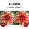 三星(SAMSUNG) UA55AU8000JXXZ 55英寸4K超高清HDR超薄全面屏AI智能补帧杜比音效平板液晶电视
