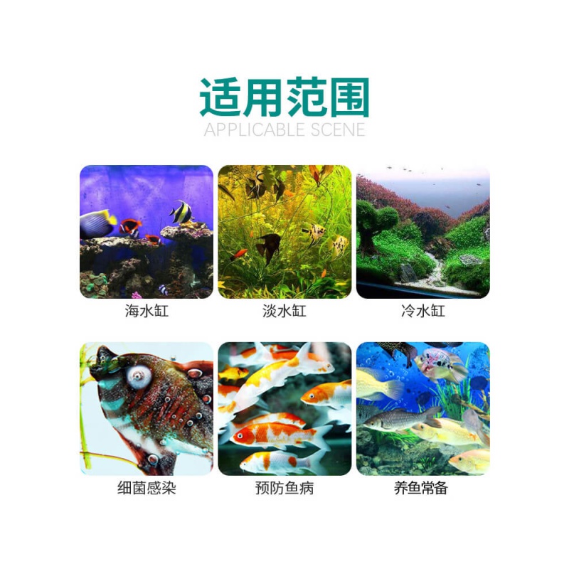 二氧化氯泡腾片鱼缸水族专用消毒剂片净水观赏鱼用除藻除异味高清大图