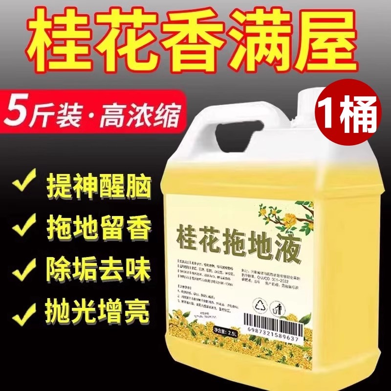 【补贴10%】地板瓷砖清洁剂拖地花露水清洗剂持久留香液官方旗舰店专地砖地面 2500.1g