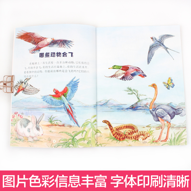 [醉染正版]小牛顿科学馆 动物世界大百科全书全10册 3-6岁儿童科普类绘本小学生 宝宝故事读物十万个为什么幼儿版书籍鲨高清大图