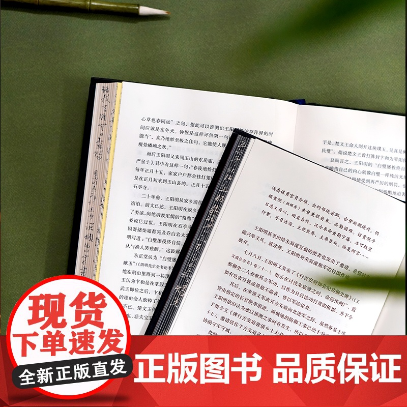 华章大历史丛书043·王阳明大传:知行合一的心学智慧(精装典藏版)刷边版解读知行合一理念人生哲理修身处世知行合一传习录大高清大图