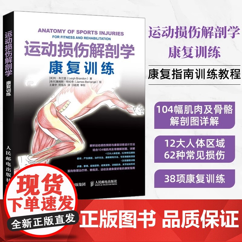 运动损伤解剖学 康复训练 【英】利·布兰登(Leigh Brandon) 解析运动损伤预防与康复训练设计方法 结合104