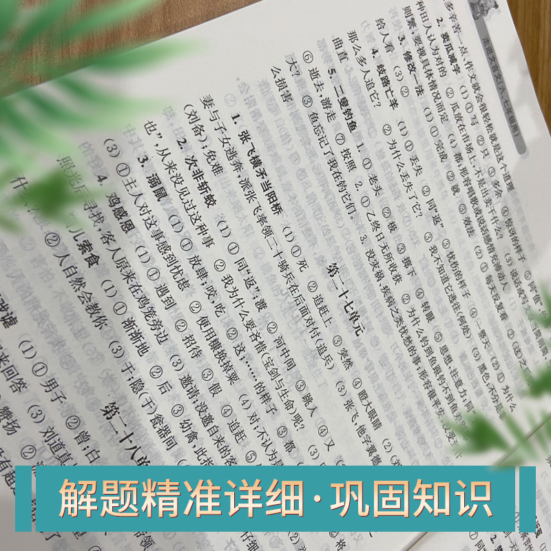 [1册]走进文言文 六、七年级 初中通用 [正版]走进文言文 六七年级版 走进文言文67年级 初中文言文课外阅读与训练精