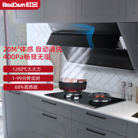 红日(RedSun)20立方侧吸式烟灶套装家用厨电套装烟灶组合挥手操控红外线定时灶JED18H+EM618B 液化气