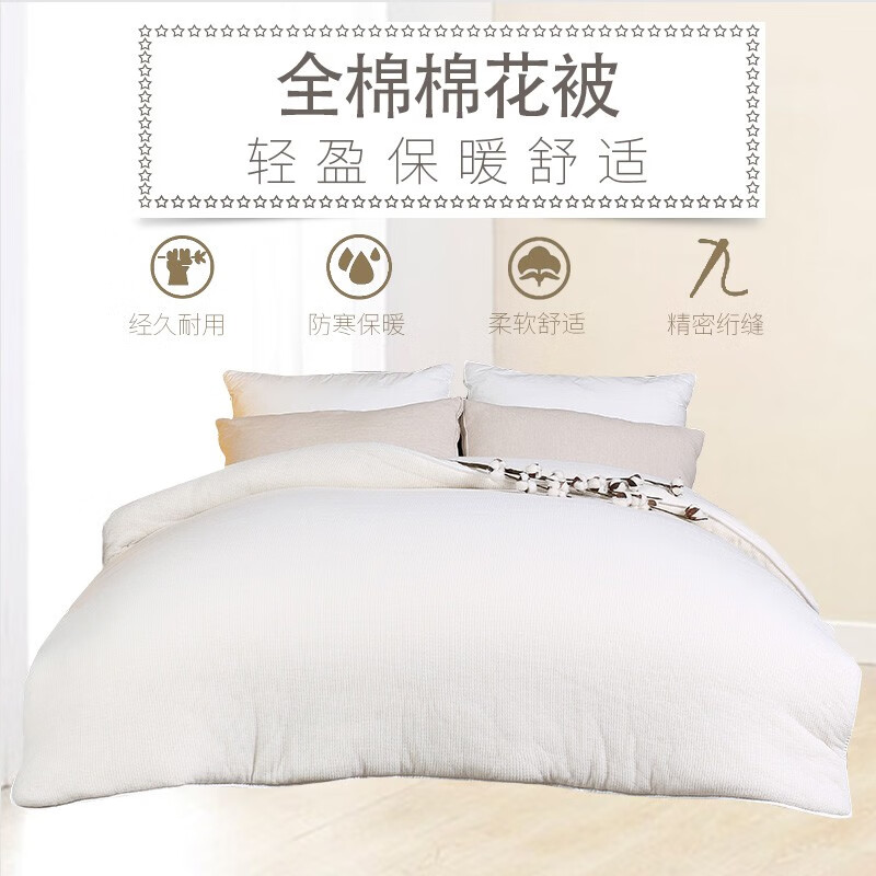 伊伊爱BZ0BZF2100891200*230cm猫生活猫生活秋冬被1.00件/高清大图