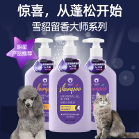 雪貂留香大师系列造型蓬松香波