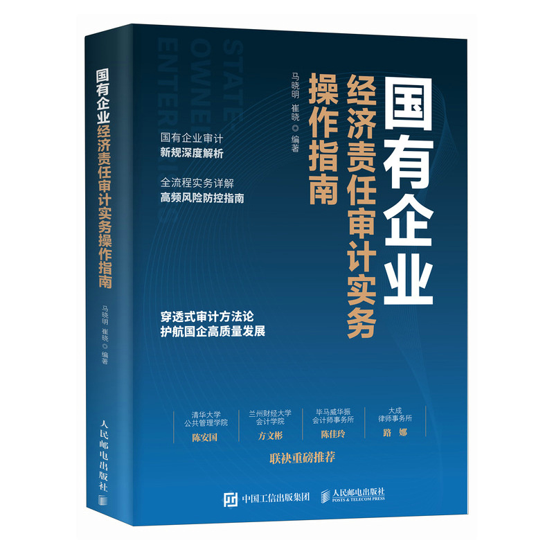 正版新书]国有企业经济责任审计实务操作指南马晓明 崔晓 著97高清大图