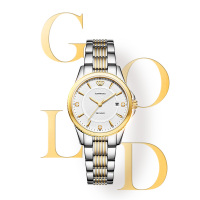 天王表金标送福18K金皇冠logo女表商务休闲钢带女士石英手表3731