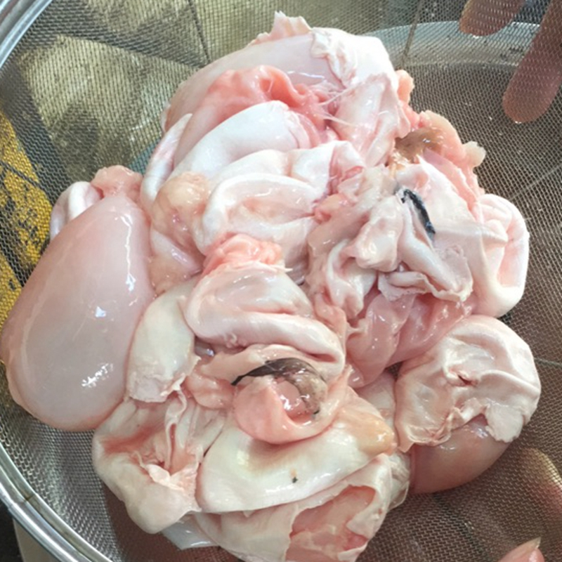 新鲜鱼泡500g草鱼鲢子鱼宝鱼泡鱼漂鱼鳔鱼肚鱼胶花胶xh