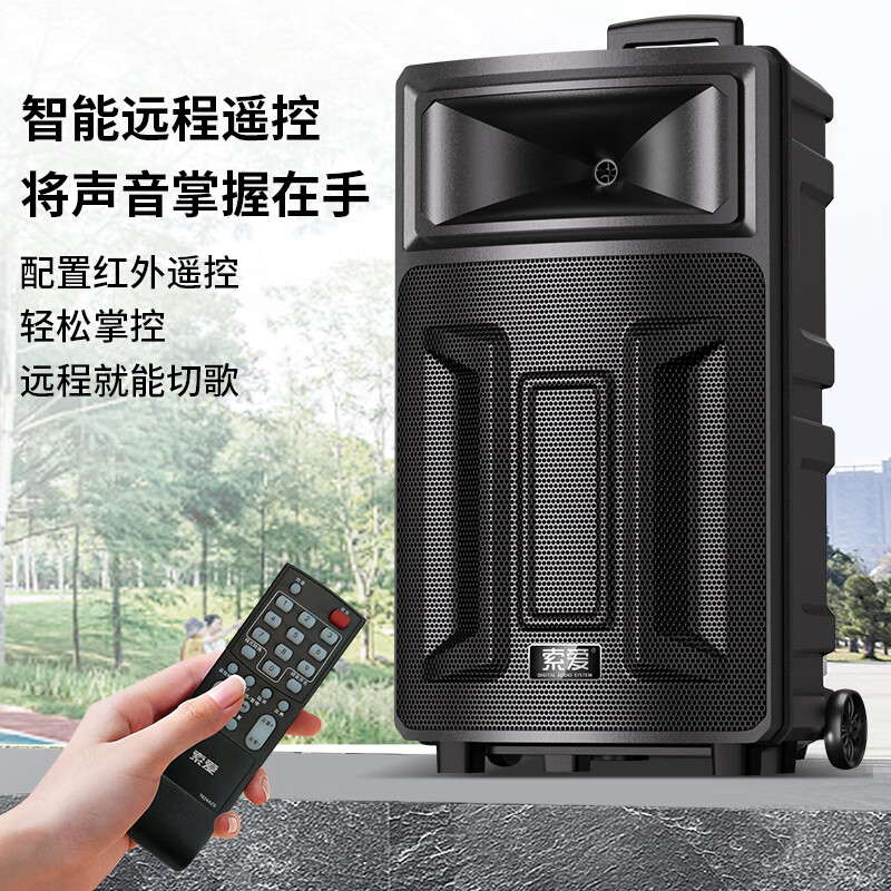 索爱(soaiy)SA-T21 广场舞大功率低音炮便携户外k歌电木吉他乐器音箱蓝牙拉杆音响 单麦高清大图