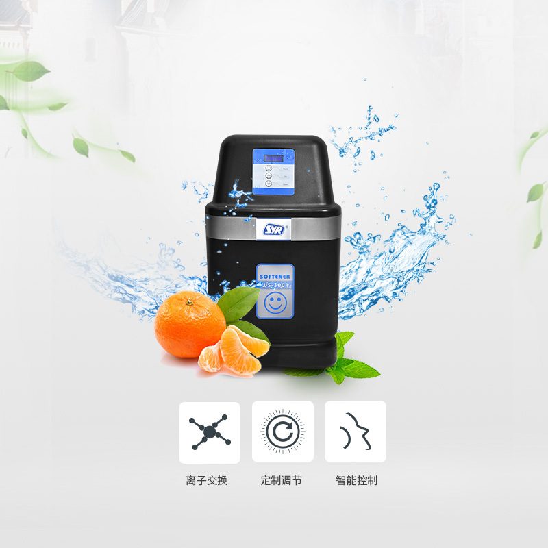 汉斯希尔(SYR)净水器 家用反冲洗F-FR前置过滤器+LEX Black II中央软水机1吨型全屋净水套装