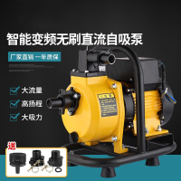 定做 48V60V通用直流无刷变频自吸泵农用滴灌大棚浇水水泵1至3寸 DC-25直流变频自吸泵750W1寸