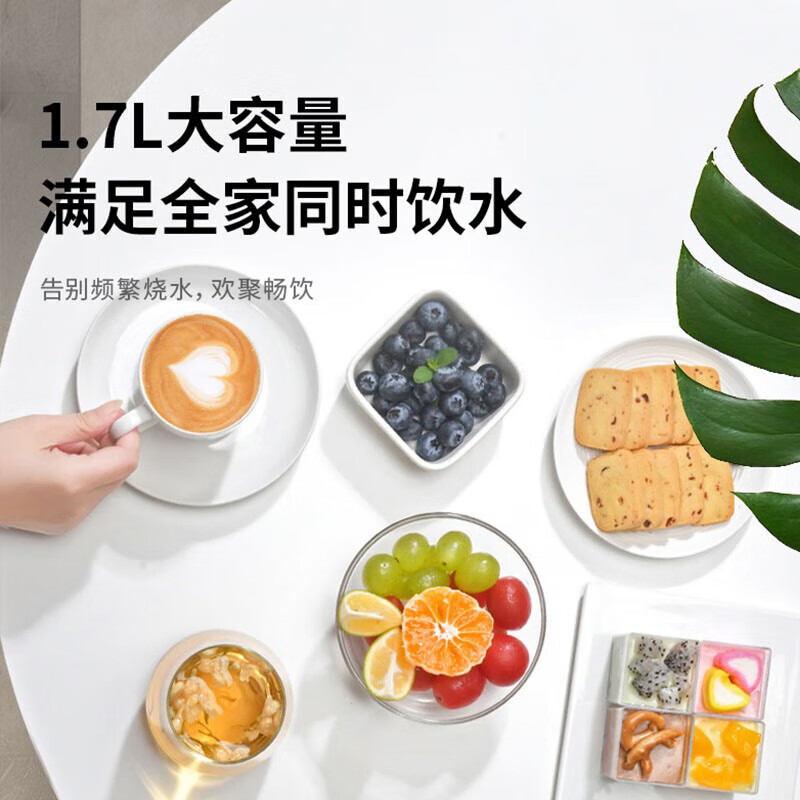 九阳电热水壶烧水壶热水壶1.7L容量无缝双层防烫304不锈钢K17FD-W102高清大图