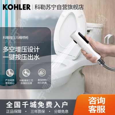 科勒马桶喷枪水龙头伴侣冲洗器增压清洗浴室龙头卫生间喷头98100T