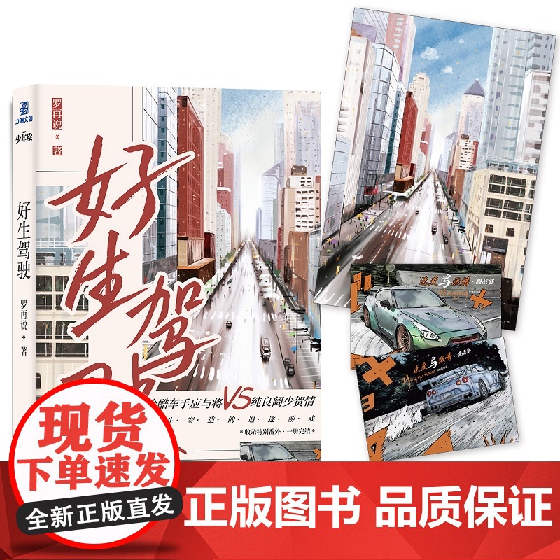 好生驾驶(现代都市小说)高清大图