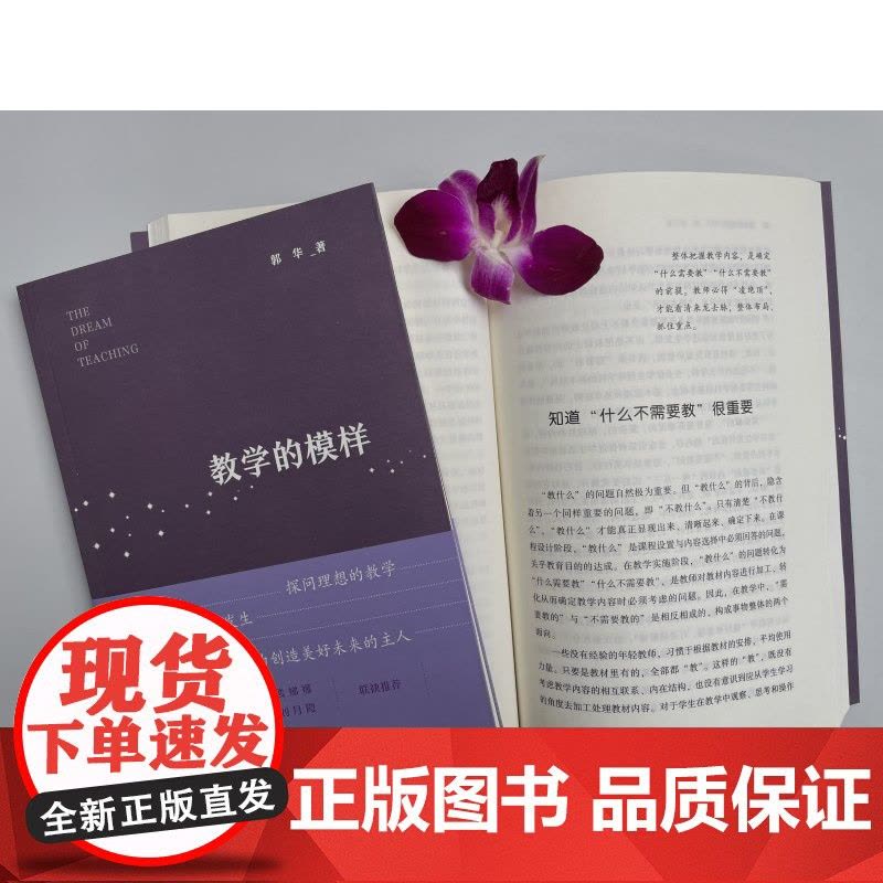 教学的模样(北京师范大学郭华教授的短篇文章集,帮助教师探寻理想的教学,促进学生学习真正发生)图片