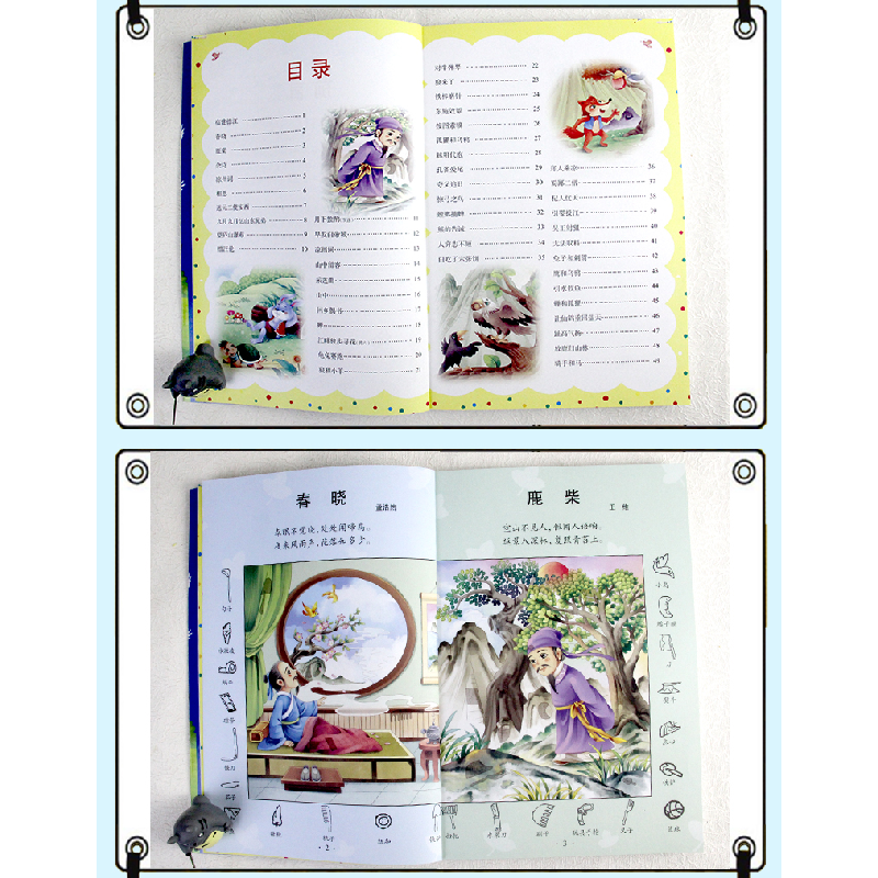 正版新书]抓住孩子成长关键期·在游戏中练出观察力:捉迷藏郭红高清大图