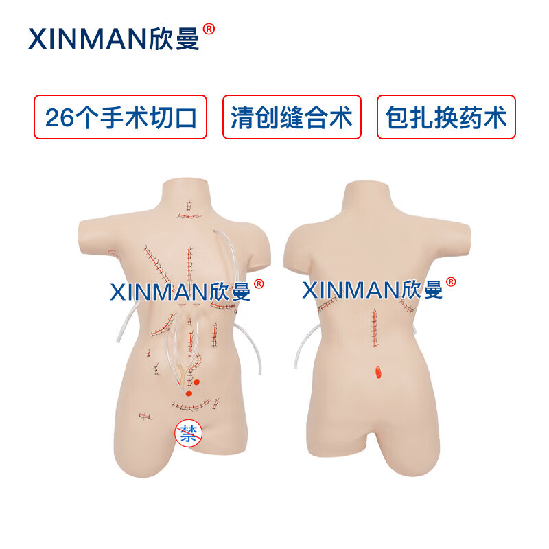 欣曼科教 外科缝合包扎展示模型 清创缝合拆线换药模拟人XM-LV18高清大图