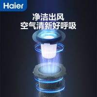 海尔(Haier)吸尘器家用手持推杆除螨三合一 车载沙发床上地面清洁机 紫外线杀菌除螨虫神器ZC405S