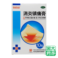 白云山 消炎镇痛膏 10贴