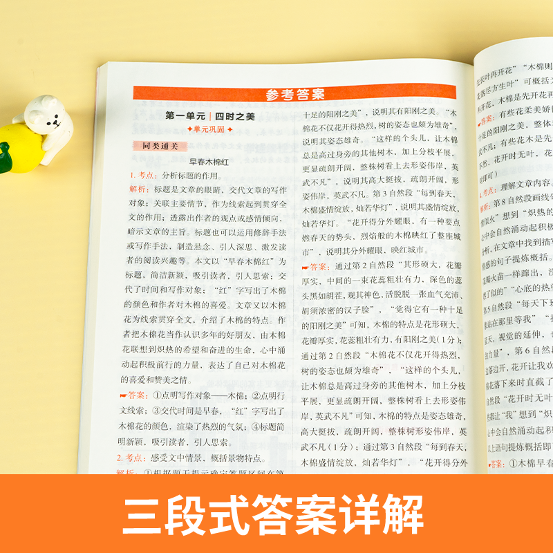 [中考/九年级]阅读理解与答题模板 初中通用 [正版]2024初中语文阅读理解答题模板七年级八年级上下册九年级阅读理解专