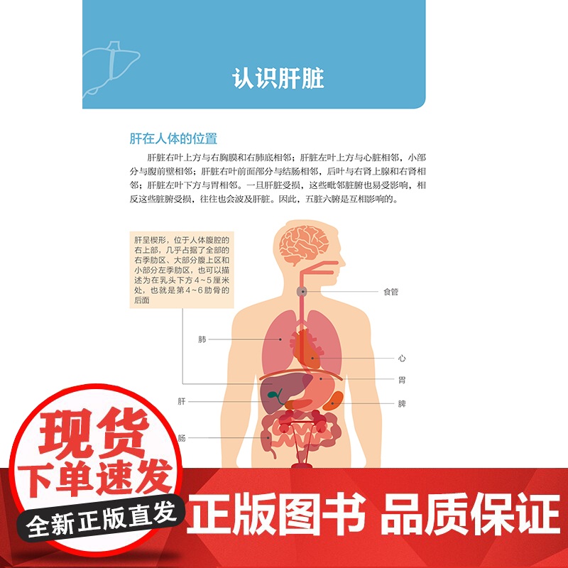 养好肝排毒畅人康健(精华升级版)中医专家李爱科分享养肝防病经验,教你疏肝气、养肝血、清肝火高清大图