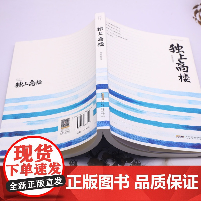 [余杭新华正版]独上高楼 姜琍敏著 小说