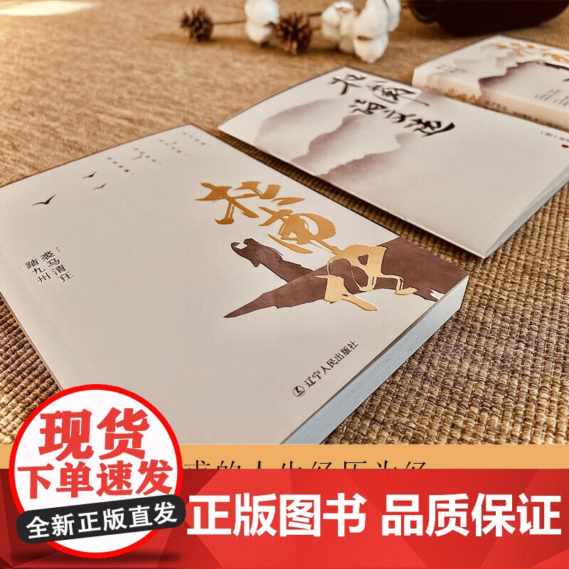 杜甫传:裘马清狂踏九州 书作者凉月满天继《又到西风扑鬓时:纳兰性德传》 凉月满天 辽宁人民出版社 正版书籍高清大图