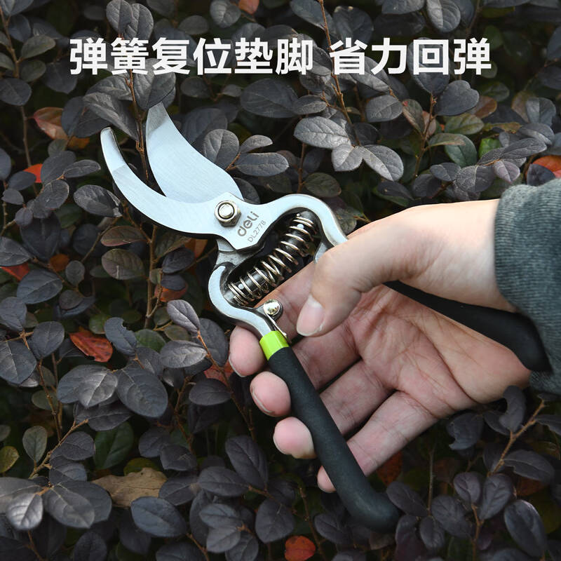 得力工具DL2778_不锈钢直嘴花木剪8“(新VI)高清大图