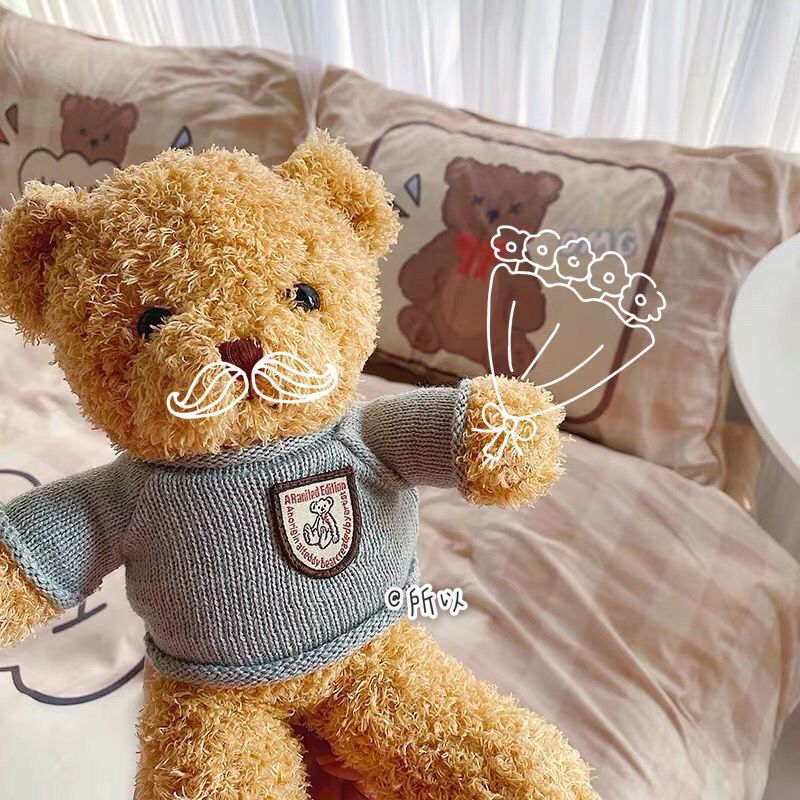 布偶熊公仔玩偶儿童生日礼物玩具卡通可爱熊仔棕色腮红小熊仅一只熊