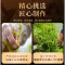 茶马世家来凤藤茶岁月留香礼盒200g 来凤龙须芽尖莓茶养生茶高档木盒礼盒送礼茶叶
