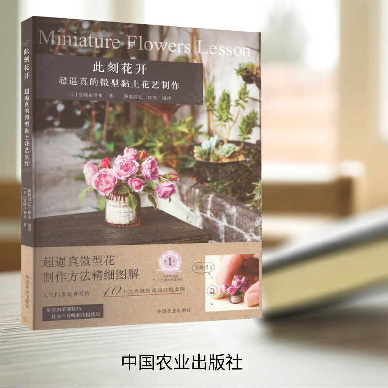 [M]此刻花开 超逼真的微型黏土花艺制作-9787109309289高清大图