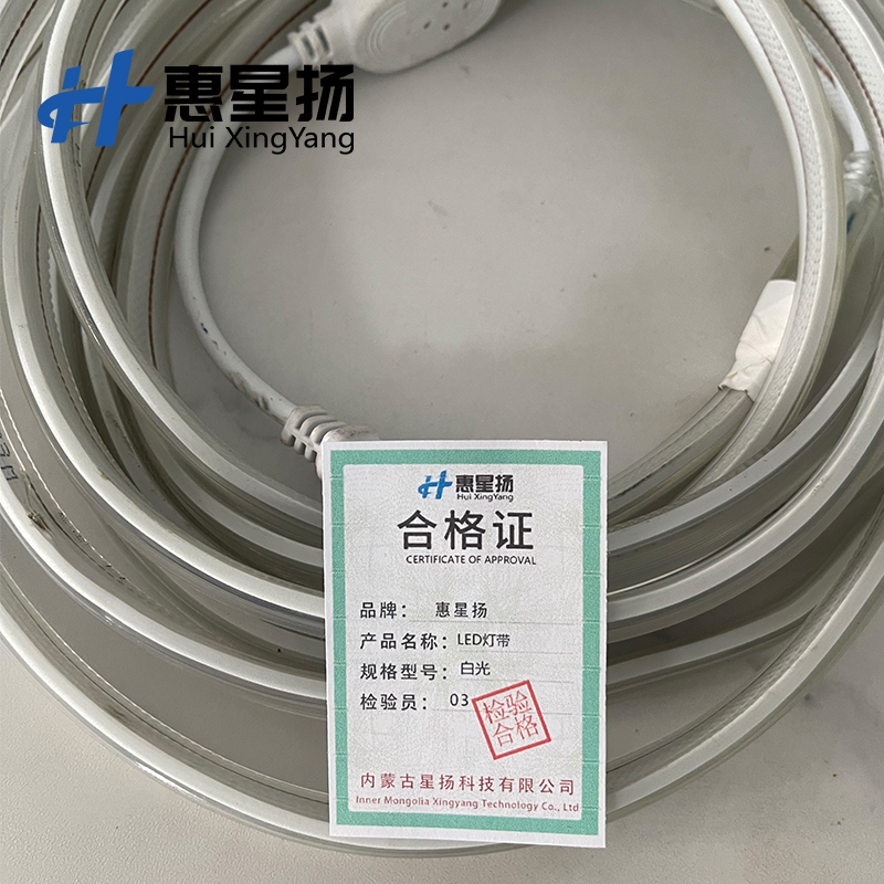 惠星扬 LED硅胶幻彩灯带 庭院院墙装饰灯条氛围灯带 24V 单位:米