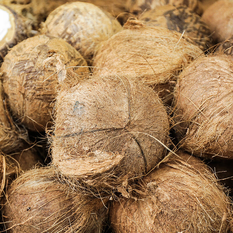 鲜木 海南牛奶椰皇 新鲜老椰子 牛奶黑椰 老椰子 青椰汁 新鲜应季水果