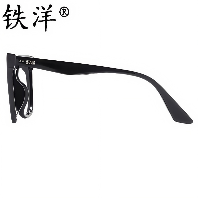 铁洋 太阳镜 墨镜 偏光眼镜 时尚款 副高清大图